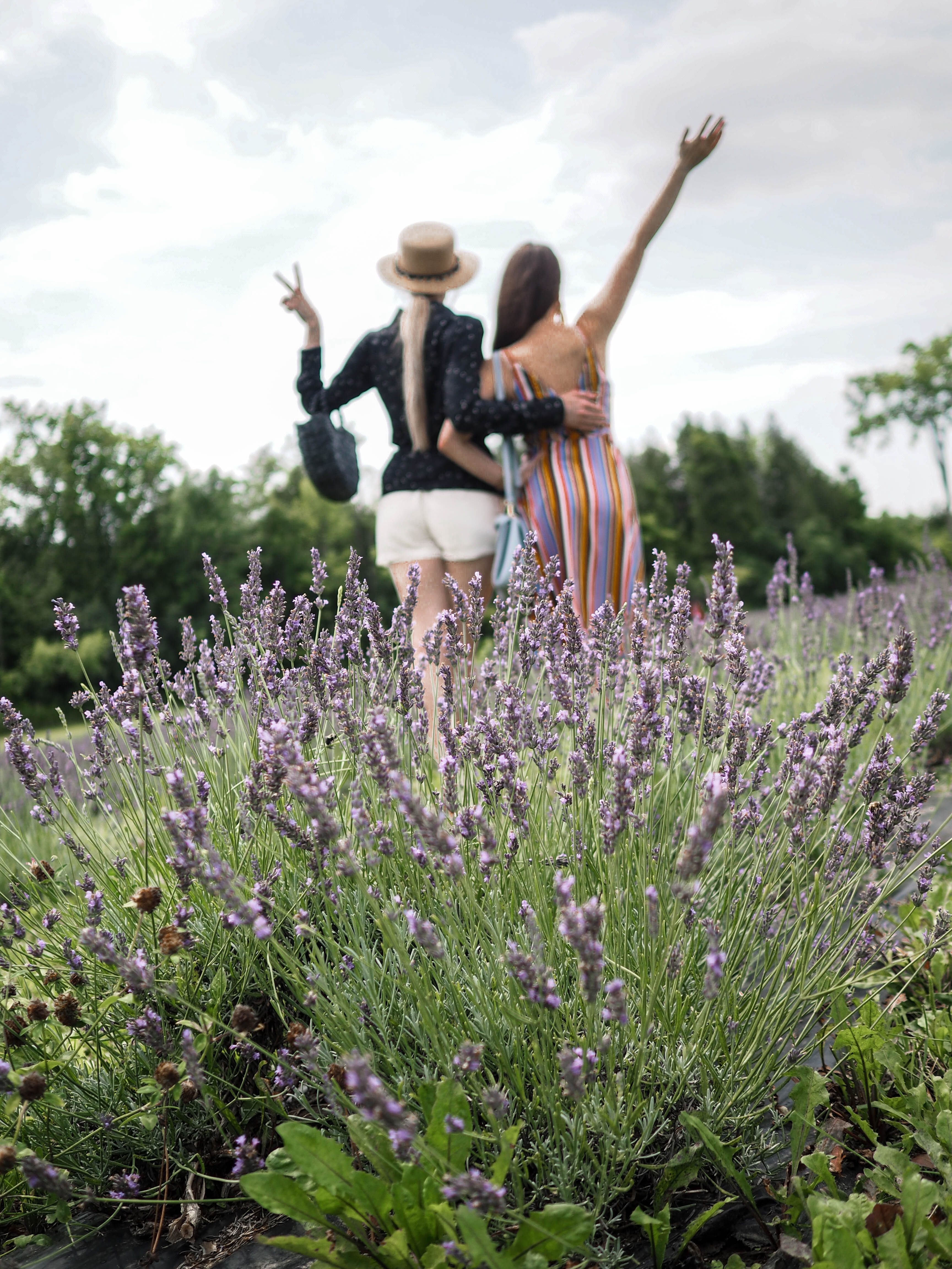 MON MODE | Fashion Blogger | Toronto Blogger | Terre Bleu Lavender Farm