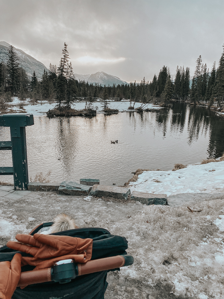 MON MODE | Monmode | Toronto Blogger | Travel Blogger | 2022 Lincoln Corsair | Banff Sleigh ride 